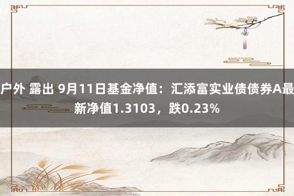 户外 露出 9月11日基金净值：汇添富实业债债券A最新净值1.3103，跌0.23%