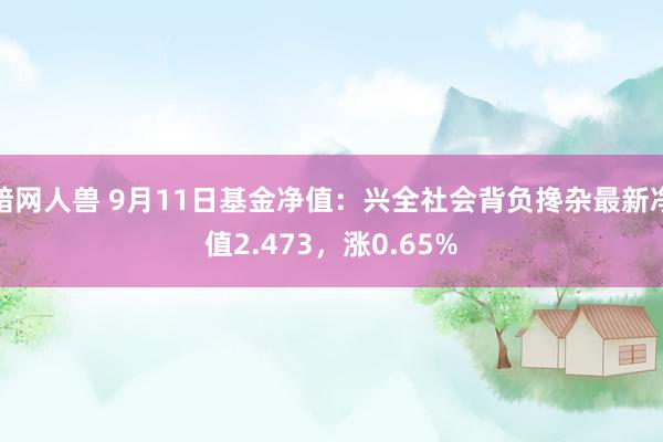 暗网人兽 9月11日基金净值：兴全社会背负搀杂最新净值2.473，涨0.65%