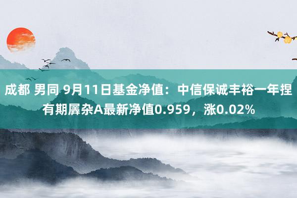 成都 男同 9月11日基金净值：中信保诚丰裕一年捏有期羼杂A最新净值0.959，涨0.02%