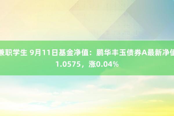 兼职学生 9月11日基金净值：鹏华丰玉债券A最新净值1.0575，涨0.04%