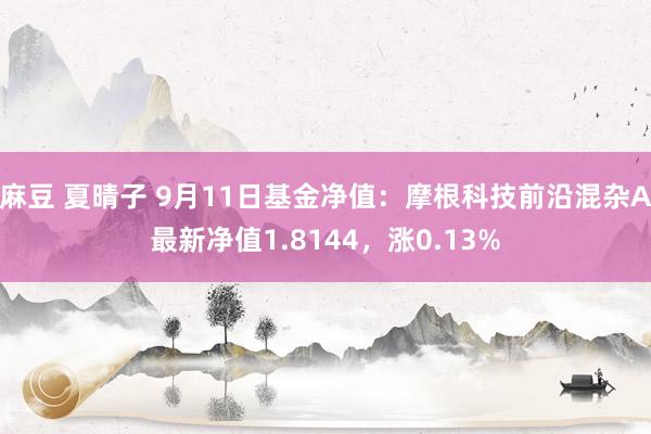 麻豆 夏晴子 9月11日基金净值：摩根科技前沿混杂A最新净值1.8144，涨0.13%