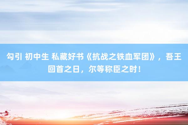 勾引 初中生 私藏好书《抗战之铁血军团》，吾王回首之日，尔等称臣之时！