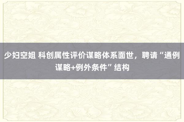 少妇空姐 科创属性评价谋略体系面世，聘请“通例谋略+例外条件”结构