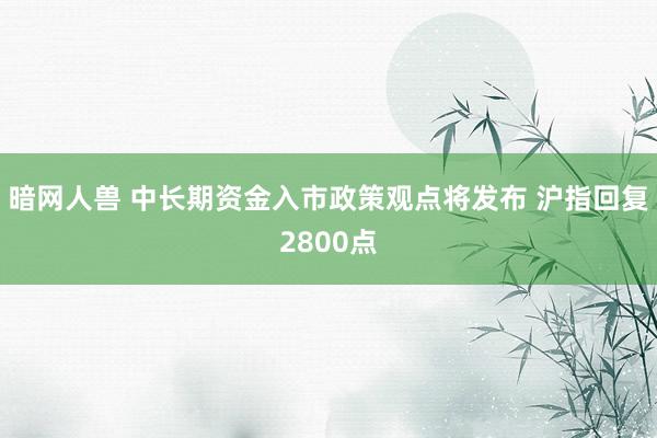 暗网人兽 中长期资金入市政策观点将发布 沪指回复2800点