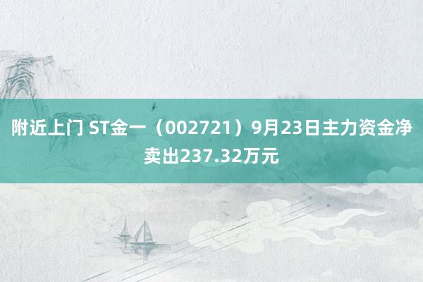 附近上门 ST金一（002721）9月23日主力资金净卖出237.32万元