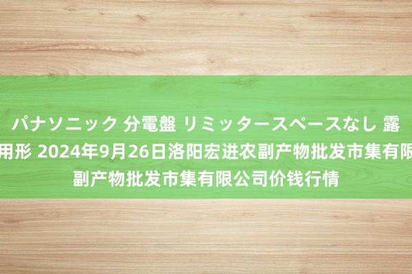 パナソニック 分電盤 リミッタースペースなし 露出・半埋込両用形 2024年9月26日洛阳宏进农副产物批发市集有限公司价钱行情