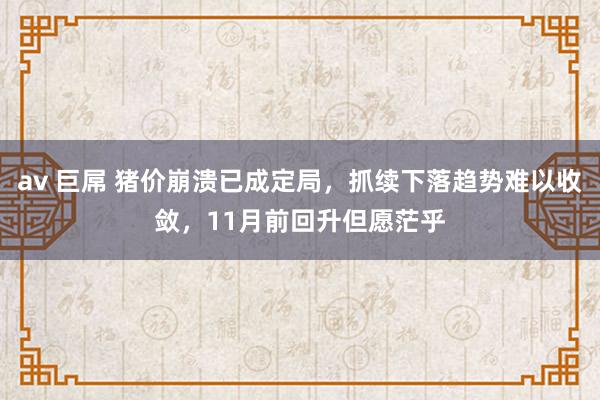 av 巨屌 猪价崩溃已成定局，抓续下落趋势难以收敛，11月前回升但愿茫乎