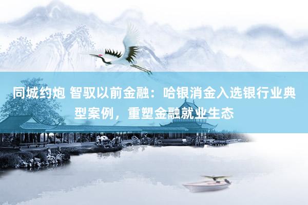 同城约炮 智驭以前金融：哈银消金入选银行业典型案例，重塑金融就业生态