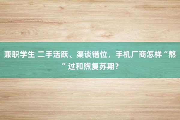 兼职学生 二手活跃、渠谈错位，手机厂商怎样“熬”过和煦复苏期？