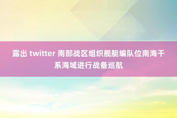 露出 twitter 南部战区组织舰艇编队位南海干系海域进行战备巡航