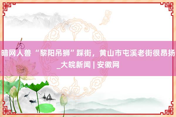 暗网人兽 “黎阳吊狮”踩街，黄山市屯溪老街很昂扬_大皖新闻 | 安徽网