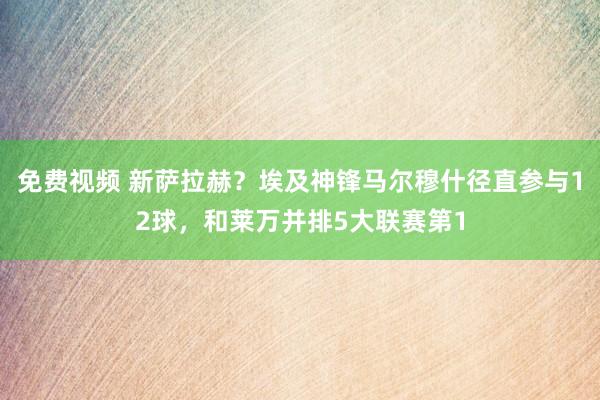 免费视频 新萨拉赫？埃及神锋马尔穆什径直参与12球，和莱万并排5大联赛第1