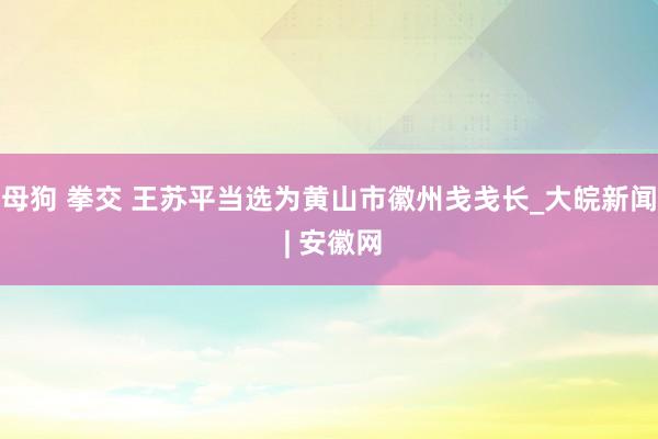 母狗 拳交 王苏平当选为黄山市徽州戋戋长_大皖新闻 | 安徽网