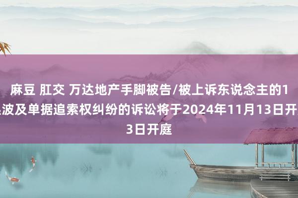 麻豆 肛交 万达地产手脚被告/被上诉东说念主的1起波及单据追索权纠纷的诉讼将于2024年11月13日开庭