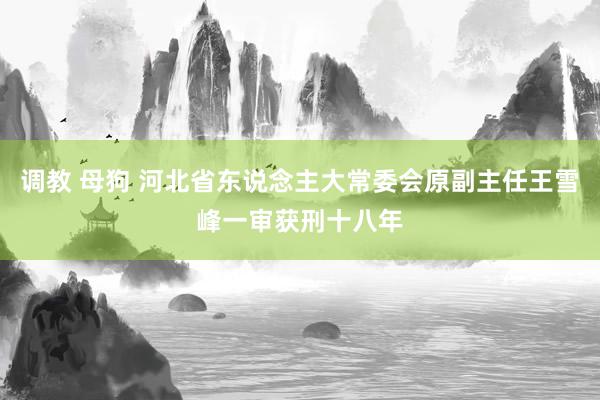 调教 母狗 河北省东说念主大常委会原副主任王雪峰一审获刑十八年