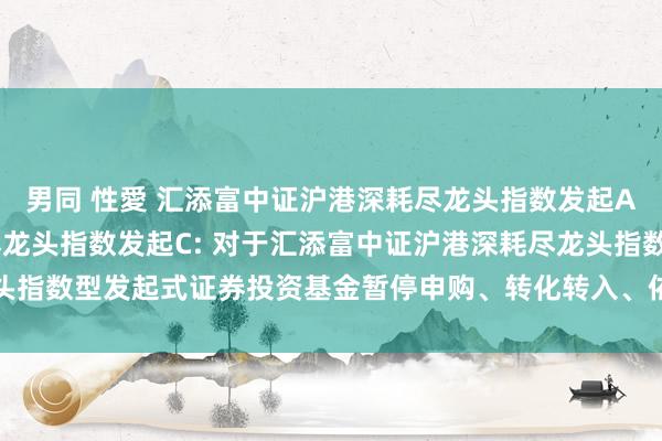 男同 性愛 汇添富中证沪港深耗尽龙头指数发起A，汇添富中证沪港深耗尽龙头指数发起C: 对于汇添富中证沪港深耗尽龙头指数型发起式证券投资基金暂停申购、转化转入、依期定额投资业务的公告