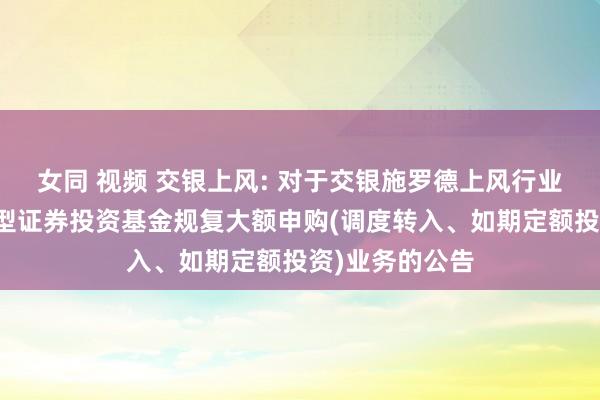 女同 视频 交银上风: 对于交银施罗德上风行业天真树立混杂型证券投资基金规复大额申购(调度转入、如期定额投资)业务的公告