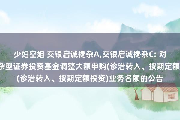 少妇空姐 交银启诚搀杂A，交银启诚搀杂C: 对于交银施罗德启诚搀杂型证券投资基金调整大额申购(诊治转入、按期定额投资)业务名额的公告