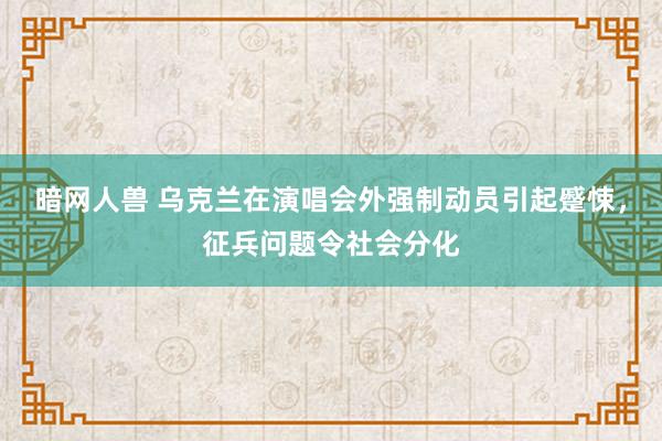 暗网人兽 乌克兰在演唱会外强制动员引起蹙悚，征兵问题令社会分化