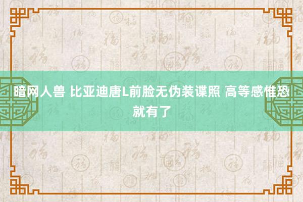 暗网人兽 比亚迪唐L前脸无伪装谍照 高等感惟恐就有了