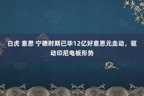 白虎 意思 宁德时期已毕12亿好意思元走动，驱动印尼电板形势