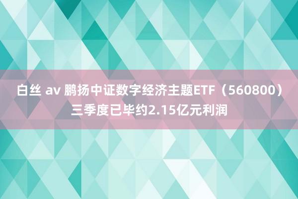 白丝 av 鹏扬中证数字经济主题ETF（560800）三季度已毕约2.15亿元利润