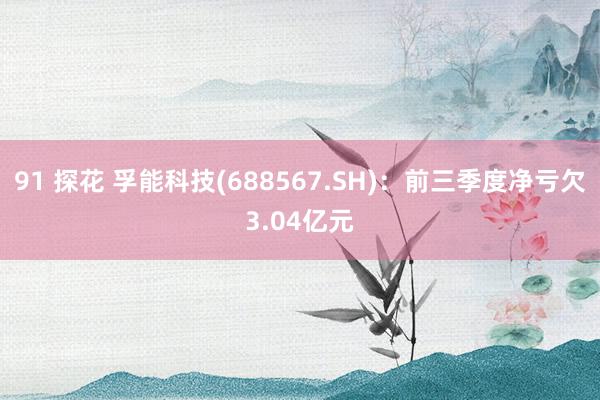 91 探花 孚能科技(688567.SH)：前三季度净亏欠3.04亿元