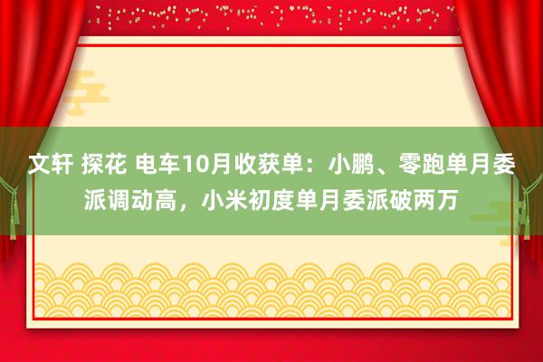 文轩 探花 电车10月收获单：小鹏、零跑单月委派调动高，小米初度单月委派破两万