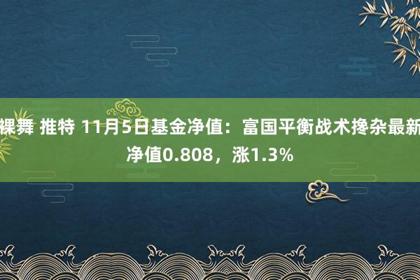 裸舞 推特 11月5日基金净值：富国平衡战术搀杂最新净值0.808，涨1.3%