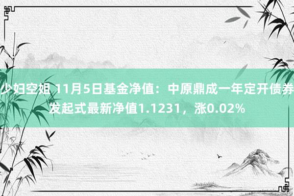 少妇空姐 11月5日基金净值：中原鼎成一年定开债券发起式最新净值1.1231，涨0.02%