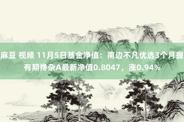 麻豆 视频 11月5日基金净值：南边不凡优选3个月握有期搀杂A最新净值0.8047，涨0.94%