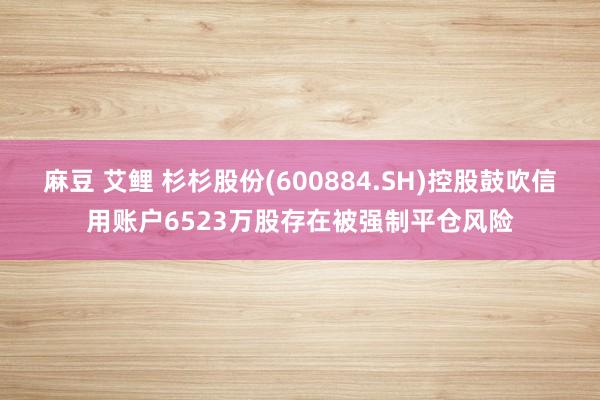 麻豆 艾鲤 杉杉股份(600884.SH)控股鼓吹信用账户6523万股存在被强制平仓风险