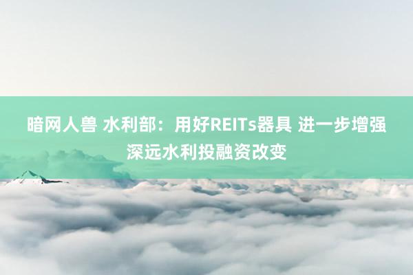 暗网人兽 水利部：用好REITs器具 进一步增强深远水利投融资改变