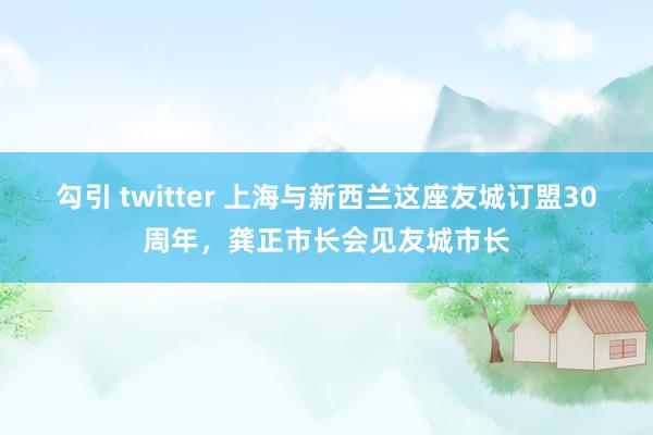 勾引 twitter 上海与新西兰这座友城订盟30周年，龚正市长会见友城市长