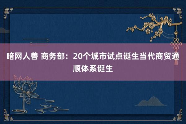 暗网人兽 商务部：20个城市试点诞生当代商贸通顺体系诞生