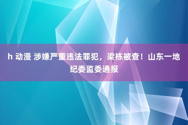 h 动漫 涉嫌严重违法罪犯，梁栋被查！山东一地纪委监委通报