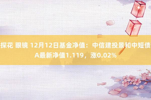 探花 眼镜 12月12日基金净值：中信建投景和中短债A最新净值1.119，涨0.02%