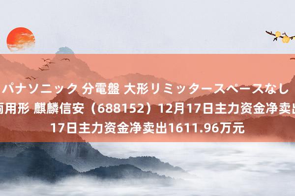 パナソニック 分電盤 大形リミッタースペースなし 露出・半埋込両用形 麒麟信安（688152）12月17日主力资金净卖出1611.96万元