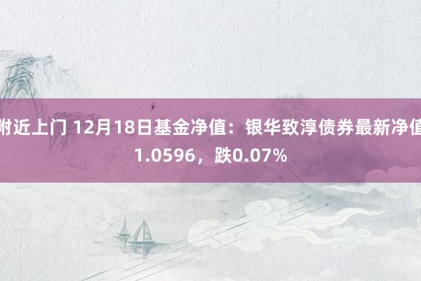 附近上门 12月18日基金净值：银华致淳债券最新净值1.0596，跌0.07%