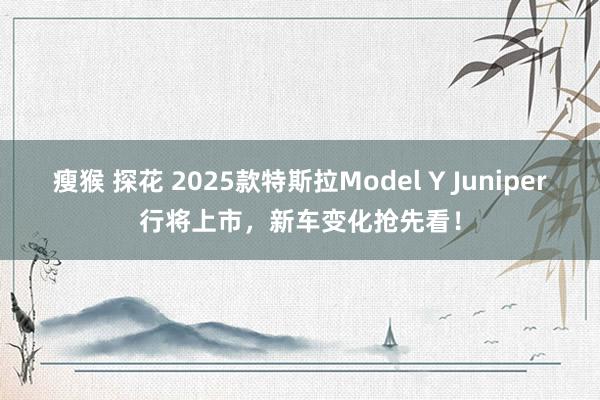 瘦猴 探花 2025款特斯拉Model Y Juniper行将上市，新车变化抢先看！