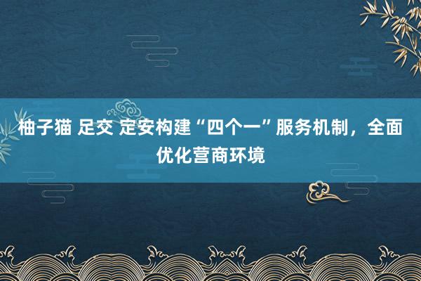 柚子猫 足交 定安构建“四个一”服务机制，全面优化营商环境