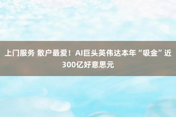 上门服务 散户最爱！AI巨头英伟达本年“吸金”近300亿好意思元