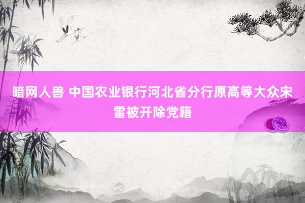 暗网人兽 中国农业银行河北省分行原高等大众宋雷被开除党籍