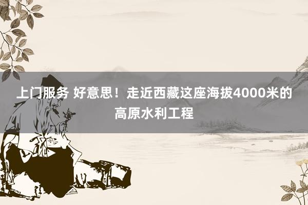 上门服务 好意思！走近西藏这座海拔4000米的高原水利工程