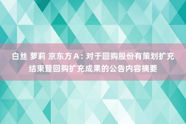 白丝 萝莉 京东方Ａ: 对于回购股份有策划扩充结束暨回购扩充成果的公告内容摘要