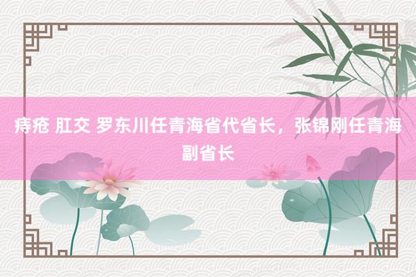 痔疮 肛交 罗东川任青海省代省长，张锦刚任青海副省长