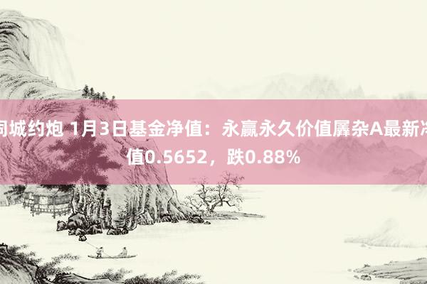 同城约炮 1月3日基金净值：永赢永久价值羼杂A最新净值0.5652，跌0.88%