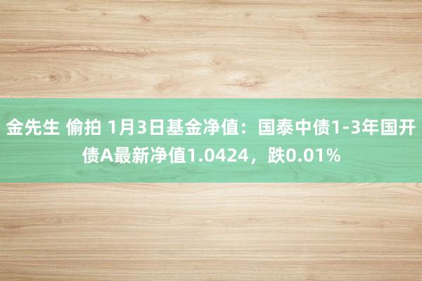 金先生 偷拍 1月3日基金净值：国泰中债1-3年国开债A最新净值1.0424，跌0.01%