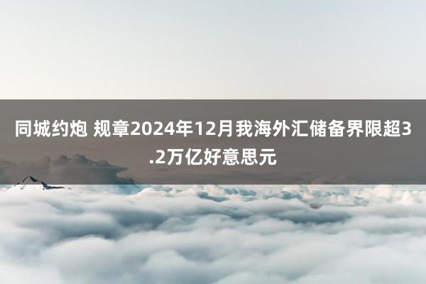 同城约炮 规章2024年12月我海外汇储备界限超3.2万亿好意思元