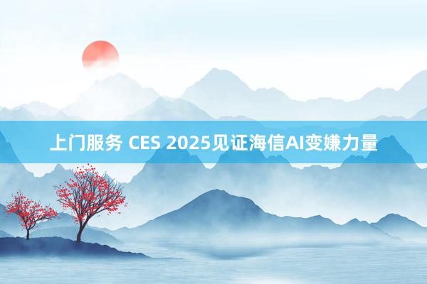 上门服务 CES 2025见证海信AI变嫌力量